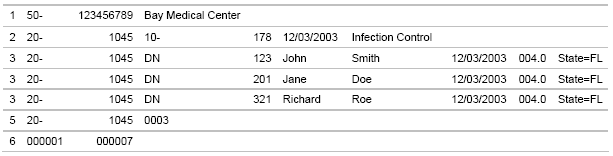 Screenshot of an example text file containing 6 rows.