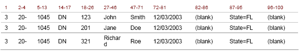 Example of an attendee record with each column filled out.