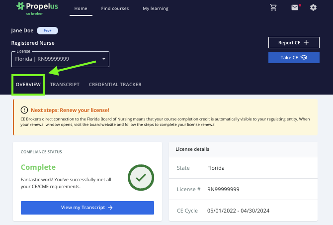 Overview section.png